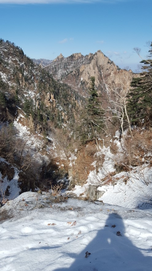 279fe0d87b52af8b320618d120853c95_1487684