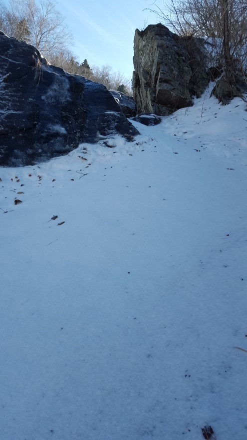 279fe0d87b52af8b320618d120853c95_1487684