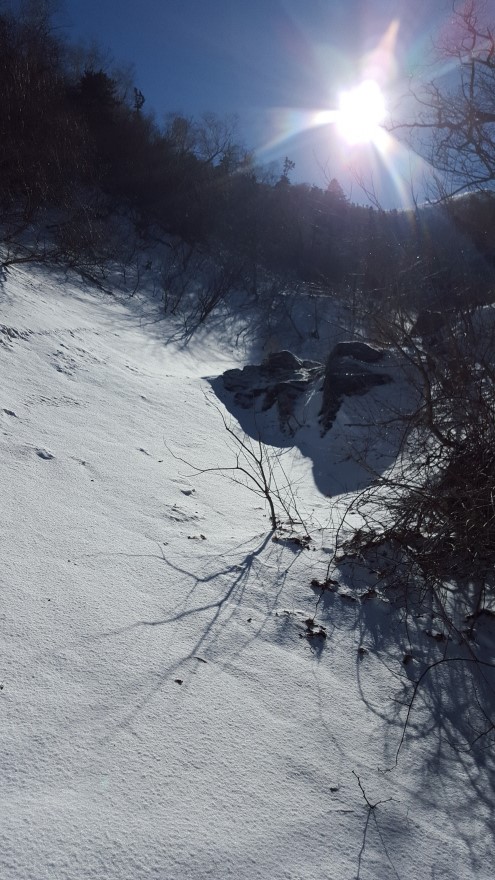 279fe0d87b52af8b320618d120853c95_1487684