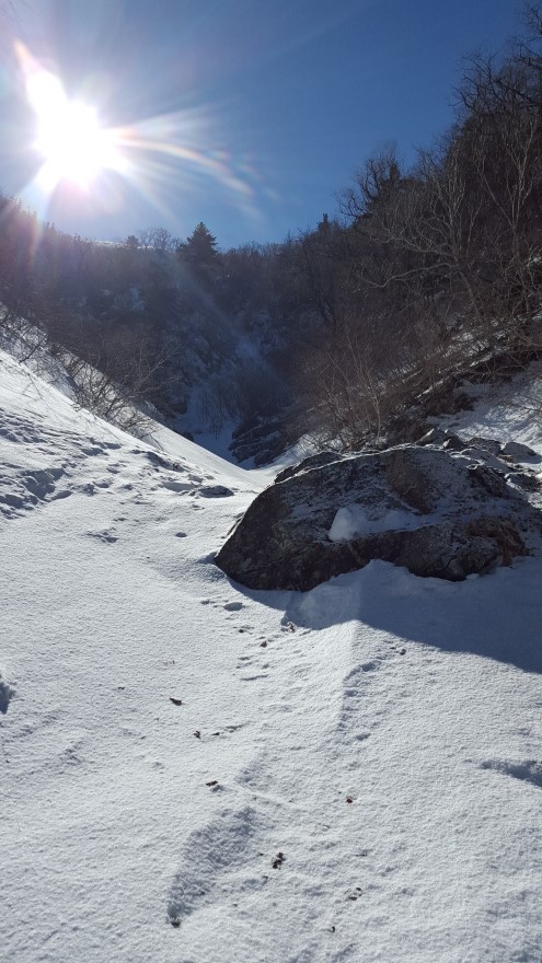 279fe0d87b52af8b320618d120853c95_1487684