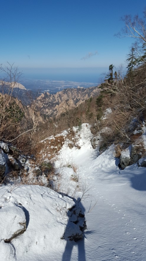 279fe0d87b52af8b320618d120853c95_1487684