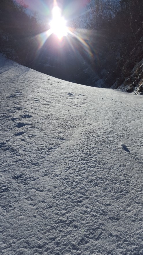 279fe0d87b52af8b320618d120853c95_1487684