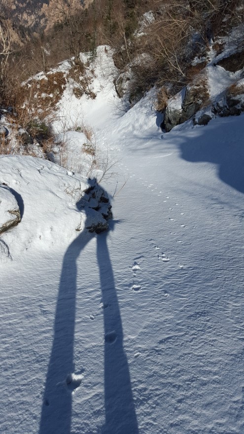 279fe0d87b52af8b320618d120853c95_1487684