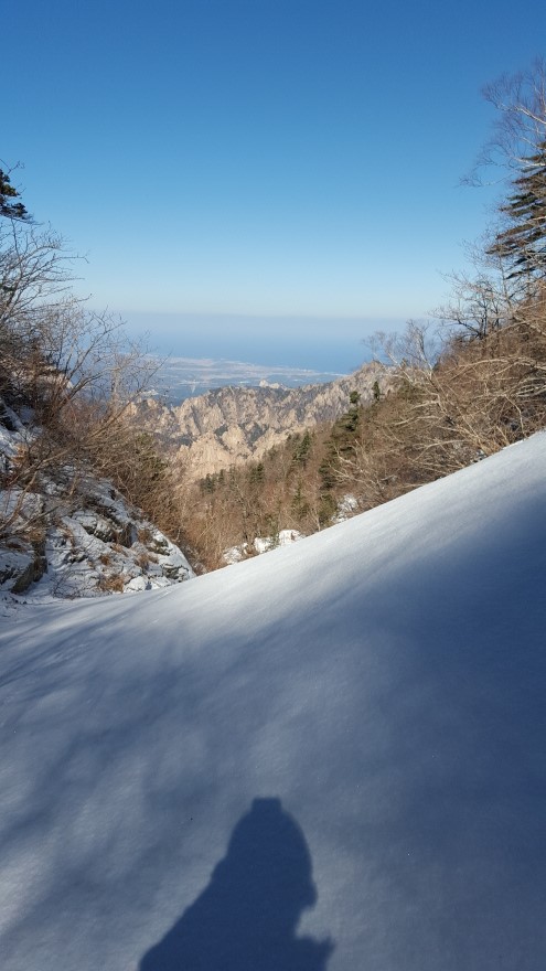 279fe0d87b52af8b320618d120853c95_1487684