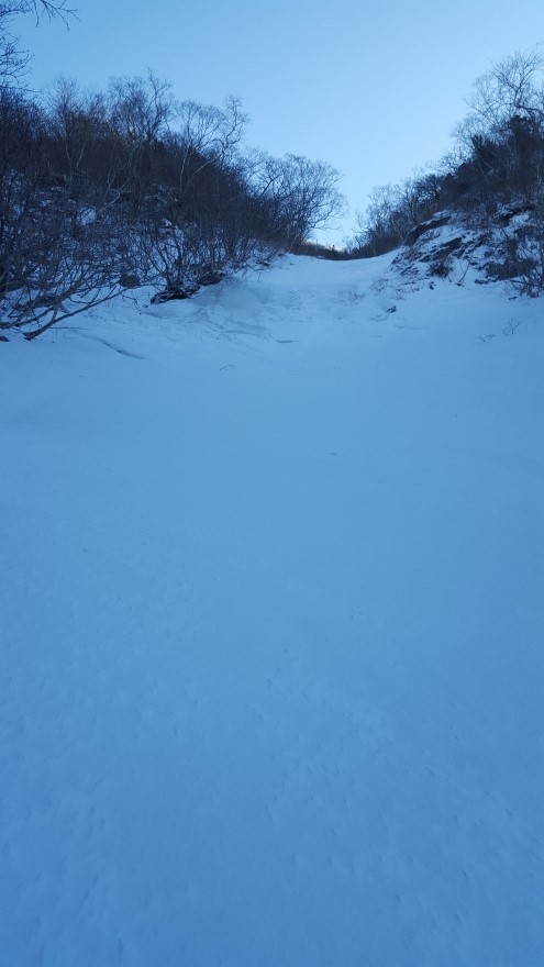 279fe0d87b52af8b320618d120853c95_1487684