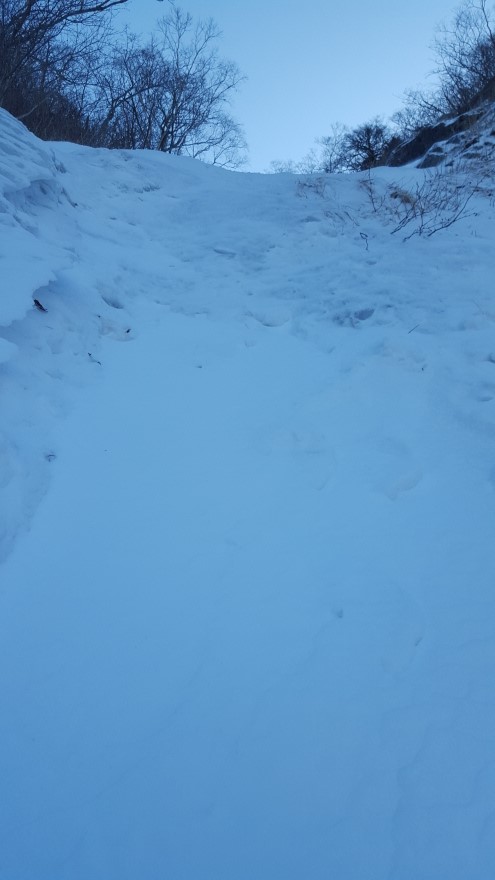 279fe0d87b52af8b320618d120853c95_1487684