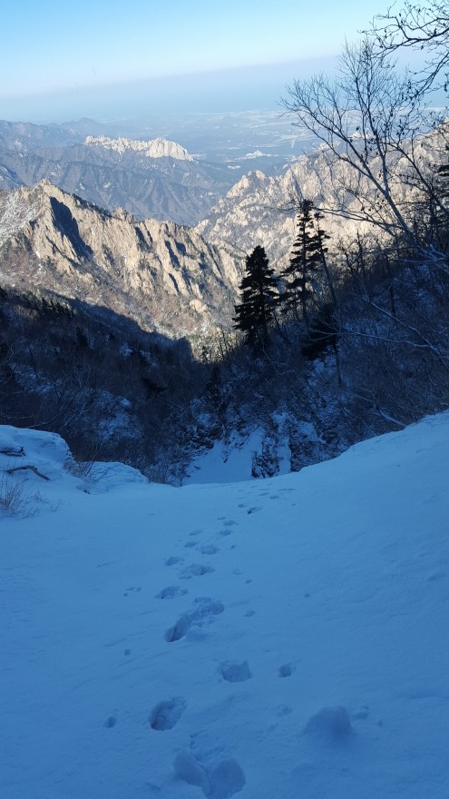 279fe0d87b52af8b320618d120853c95_1487684