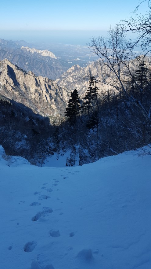 279fe0d87b52af8b320618d120853c95_1487684