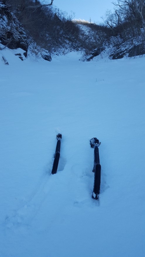 279fe0d87b52af8b320618d120853c95_1487684