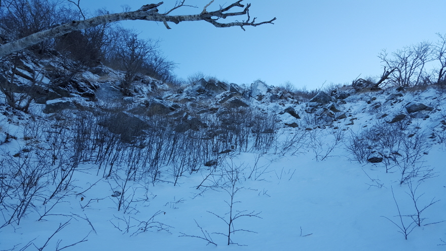 279fe0d87b52af8b320618d120853c95_1487684