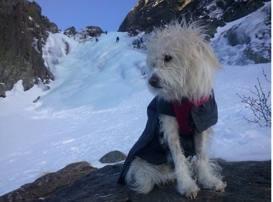 6c585807512052cb54281bebf5d264d0_1488173