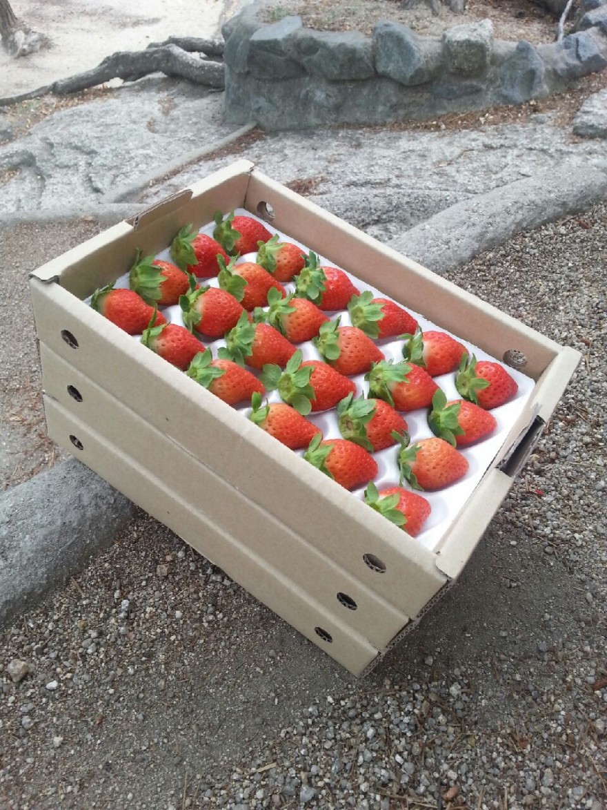 195f4e411eef59b328d1d58a93aa8473_1498515