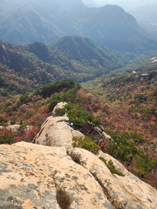 7eca826ccb14a1c81ff1ee889a689705_1761748