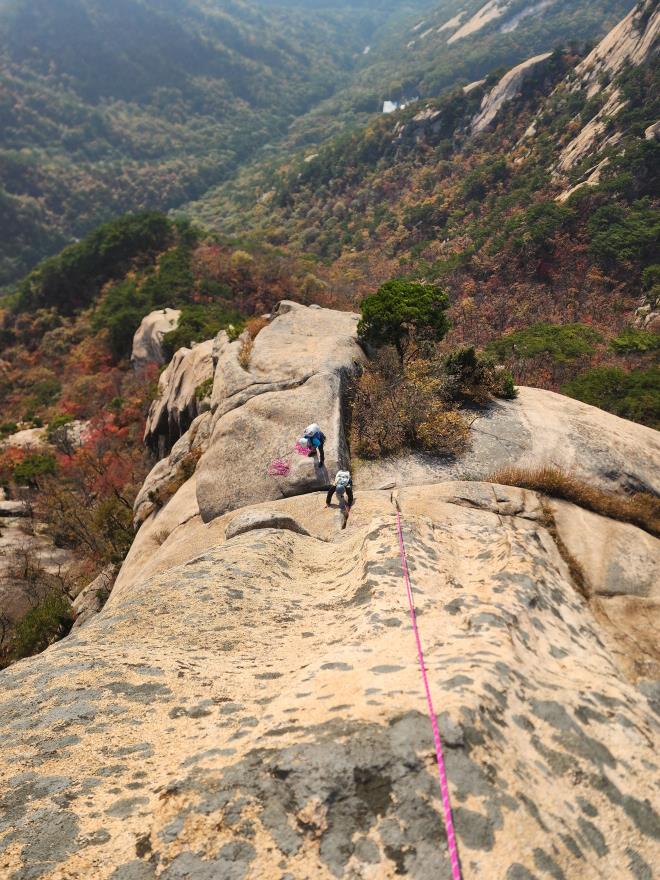 7eca826ccb14a1c81ff1ee889a689705_1761748