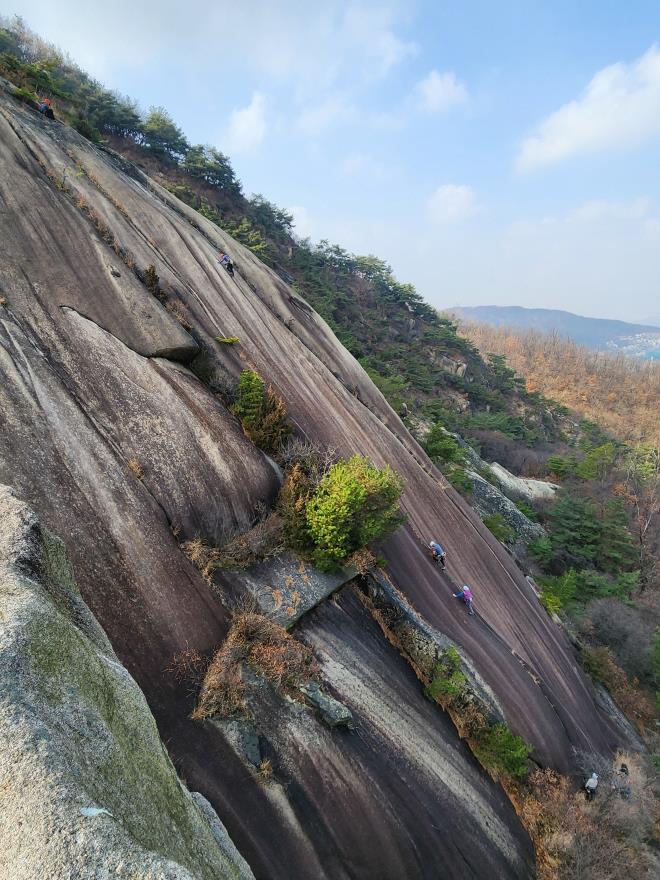 1626d67b66c71d4e4aa2618082a63579_1764514382_6936.jpg 1626d67b66c71d4e4aa2618082a63579_1764514