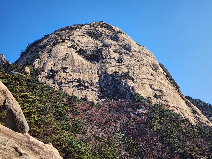 2cfb916ae70e48bb3345a604f6c216ad_1763305