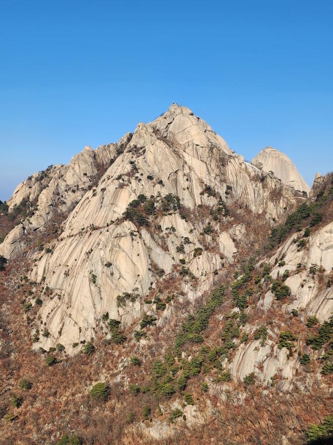 2cfb916ae70e48bb3345a604f6c216ad_1763305