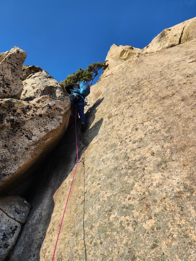 2cfb916ae70e48bb3345a604f6c216ad_1763305