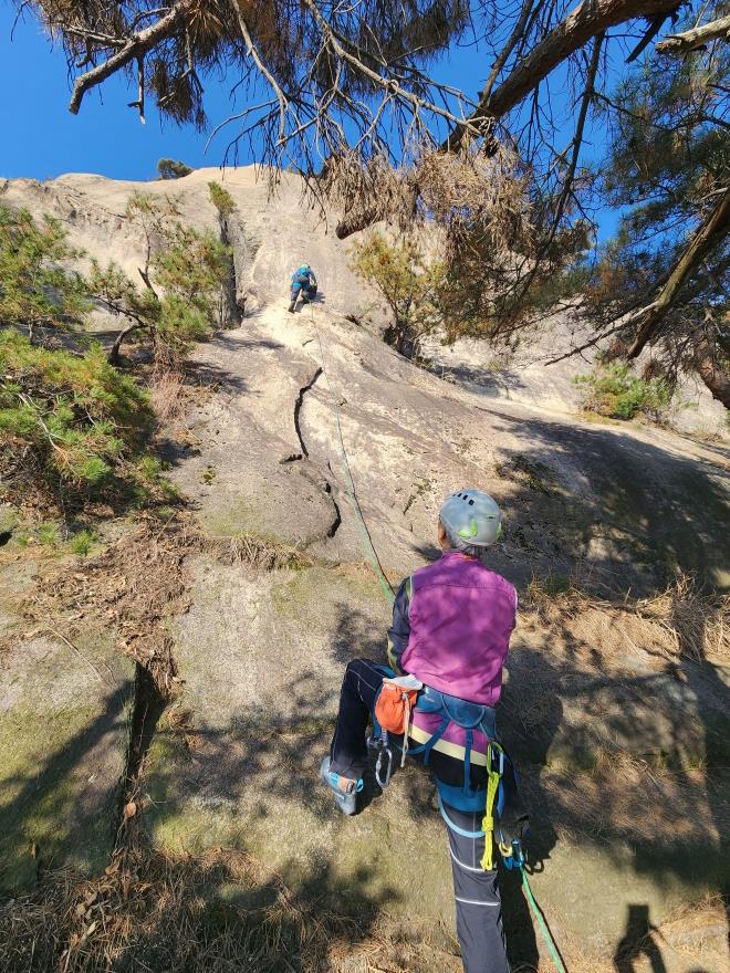 8924f338f667ce7e6597c8d9ba05b246_1763648