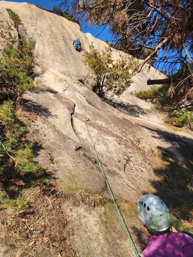 8924f338f667ce7e6597c8d9ba05b246_1763648