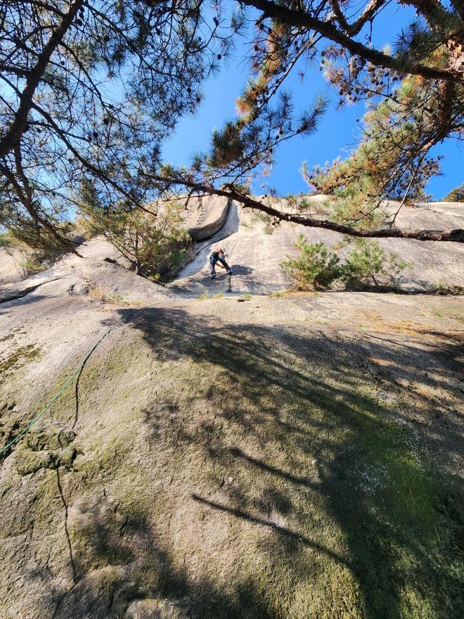 8924f338f667ce7e6597c8d9ba05b246_1763648