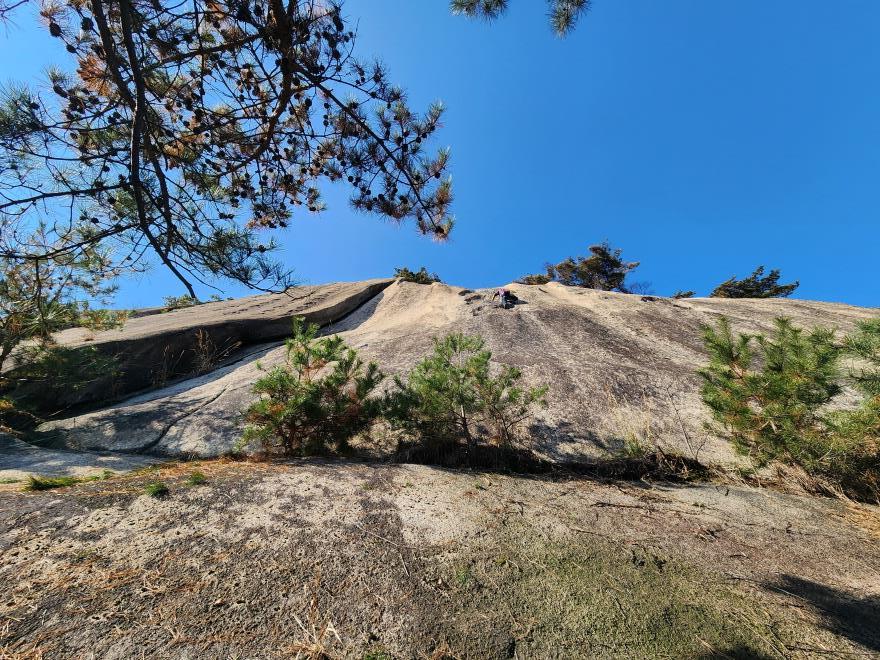 8924f338f667ce7e6597c8d9ba05b246_1763648