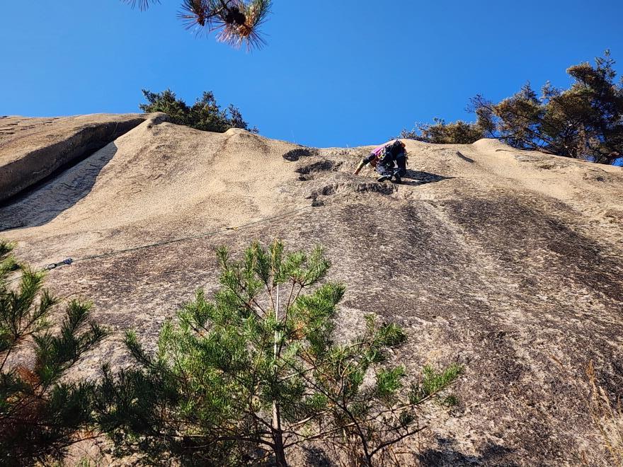 8924f338f667ce7e6597c8d9ba05b246_1763648