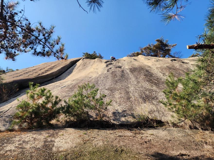 8924f338f667ce7e6597c8d9ba05b246_1763648