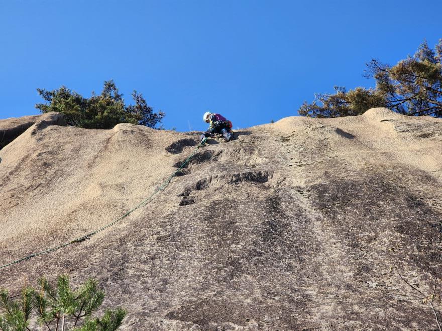 8924f338f667ce7e6597c8d9ba05b246_1763648