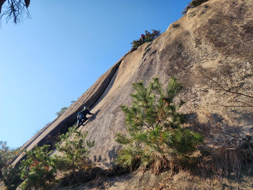 8924f338f667ce7e6597c8d9ba05b246_1763648