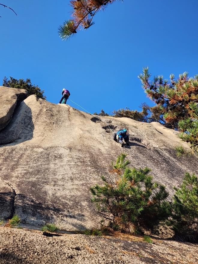 8924f338f667ce7e6597c8d9ba05b246_1763648