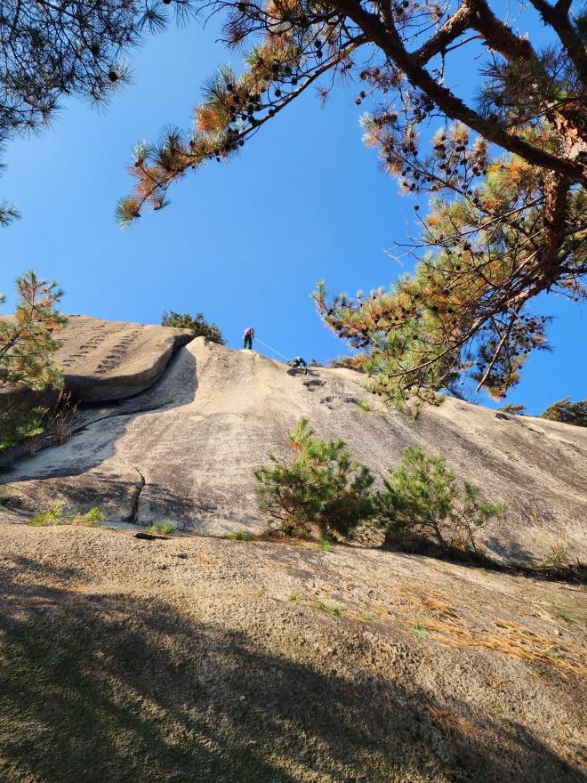 8924f338f667ce7e6597c8d9ba05b246_1763648