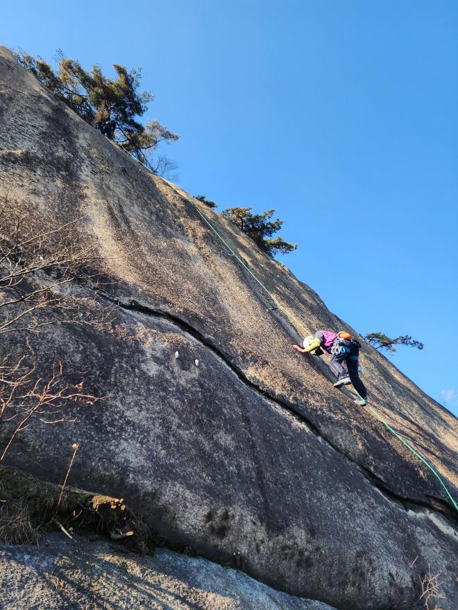 8924f338f667ce7e6597c8d9ba05b246_1763648