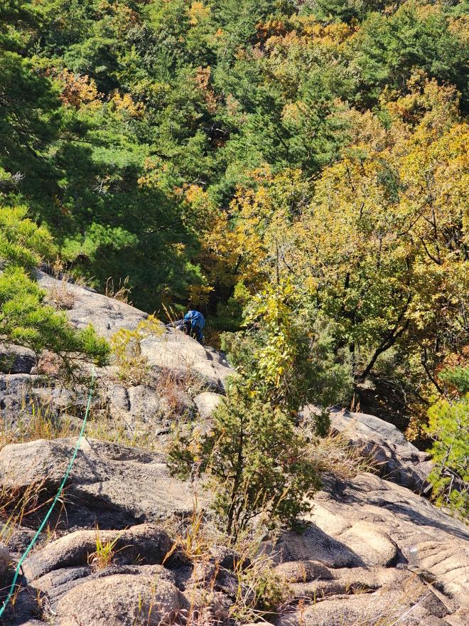 a386ae13ac92e84589cda99ab350288d_1762097