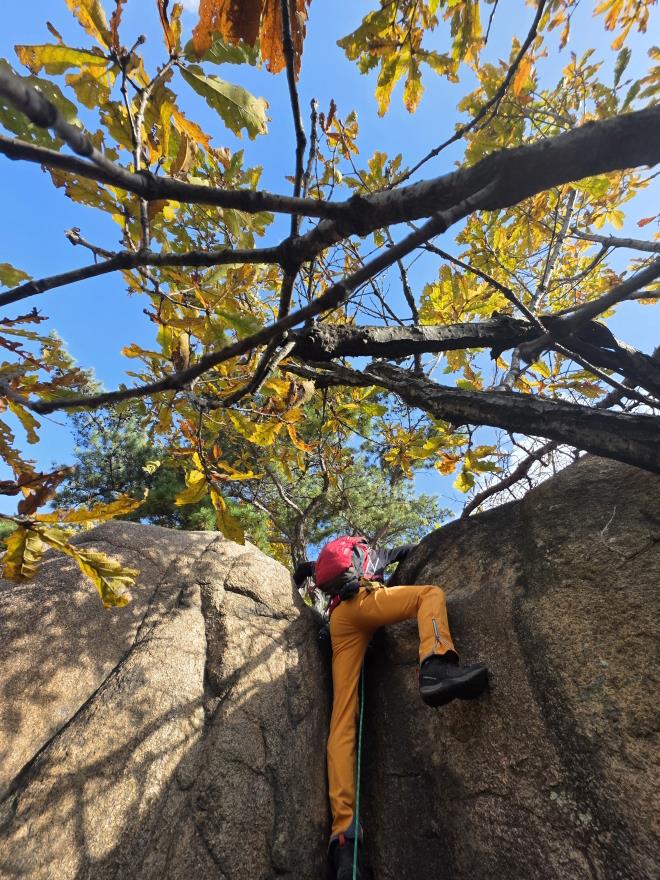 a386ae13ac92e84589cda99ab350288d_1762097