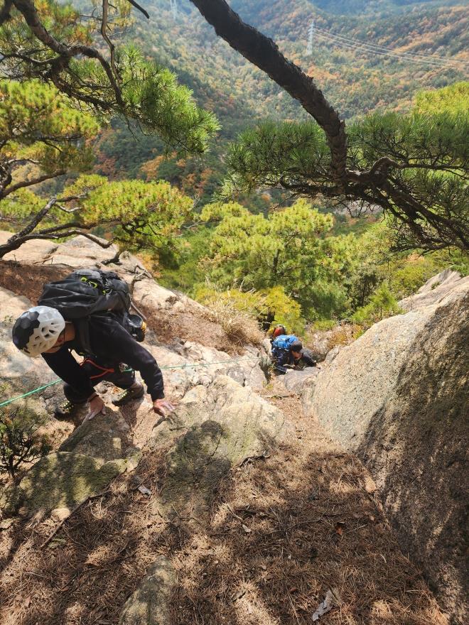 a386ae13ac92e84589cda99ab350288d_1762097