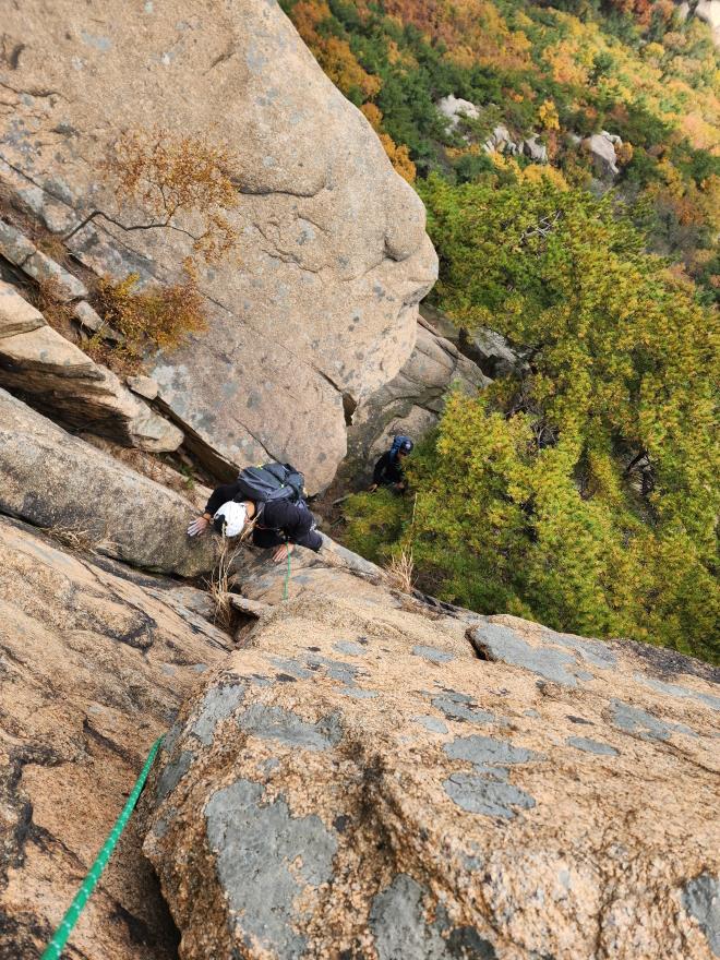 a386ae13ac92e84589cda99ab350288d_1762097