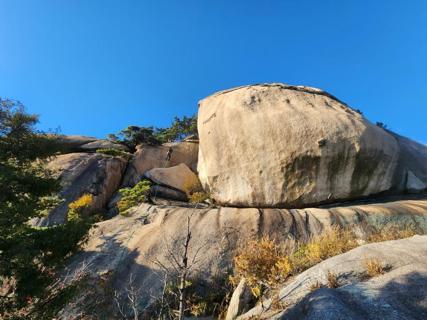 a386ae13ac92e84589cda99ab350288d_1762097