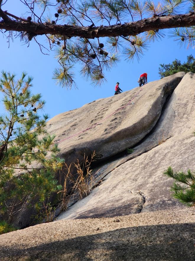 d05993b9a4256ee1a87b0a5a69550521_1762698