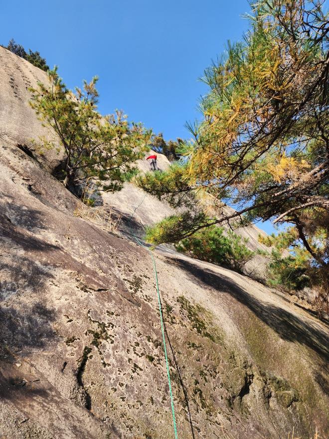 d05993b9a4256ee1a87b0a5a69550521_1762698