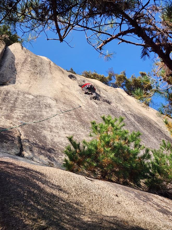 d05993b9a4256ee1a87b0a5a69550521_1762698