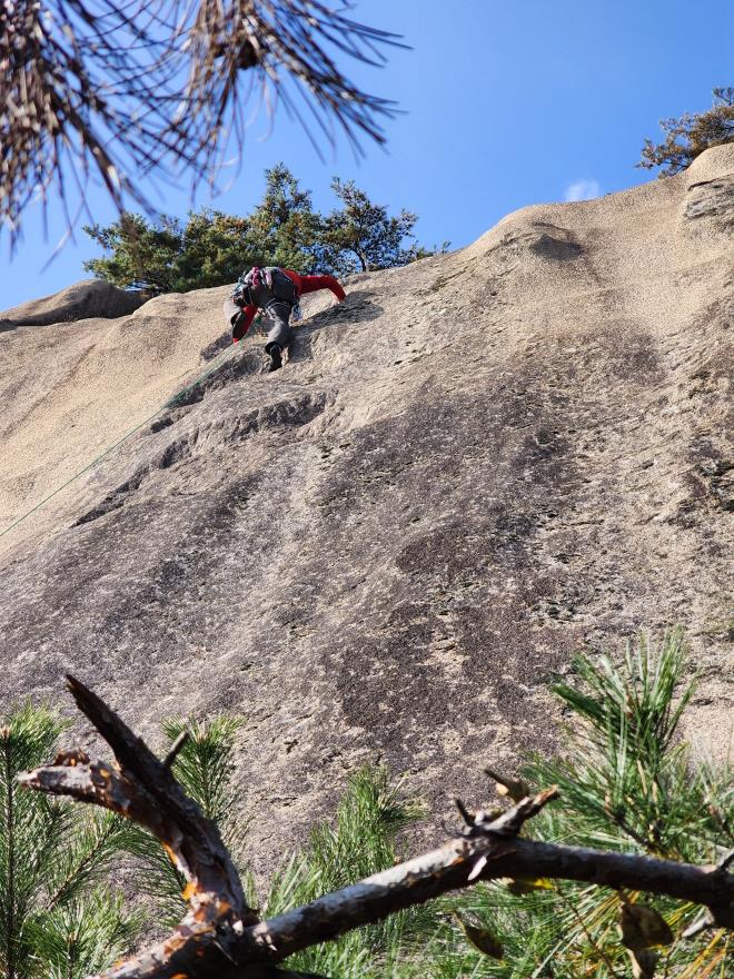 d05993b9a4256ee1a87b0a5a69550521_1762698