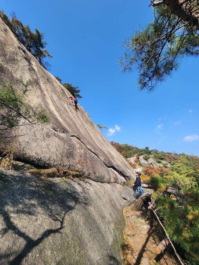 d05993b9a4256ee1a87b0a5a69550521_1762698