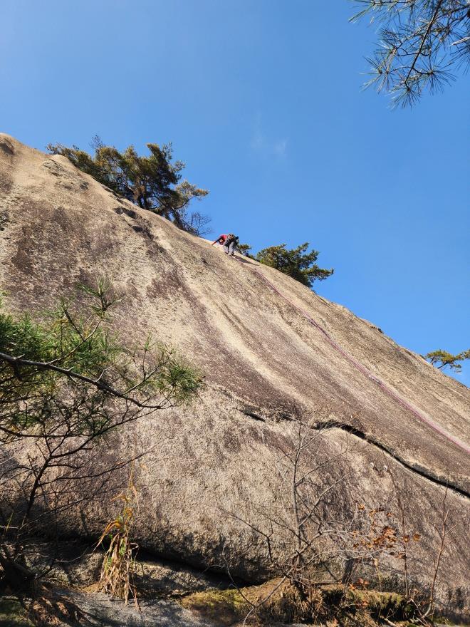 d05993b9a4256ee1a87b0a5a69550521_1762698