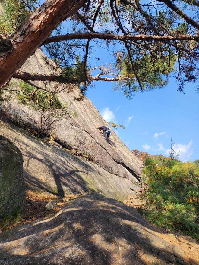 d05993b9a4256ee1a87b0a5a69550521_1762698