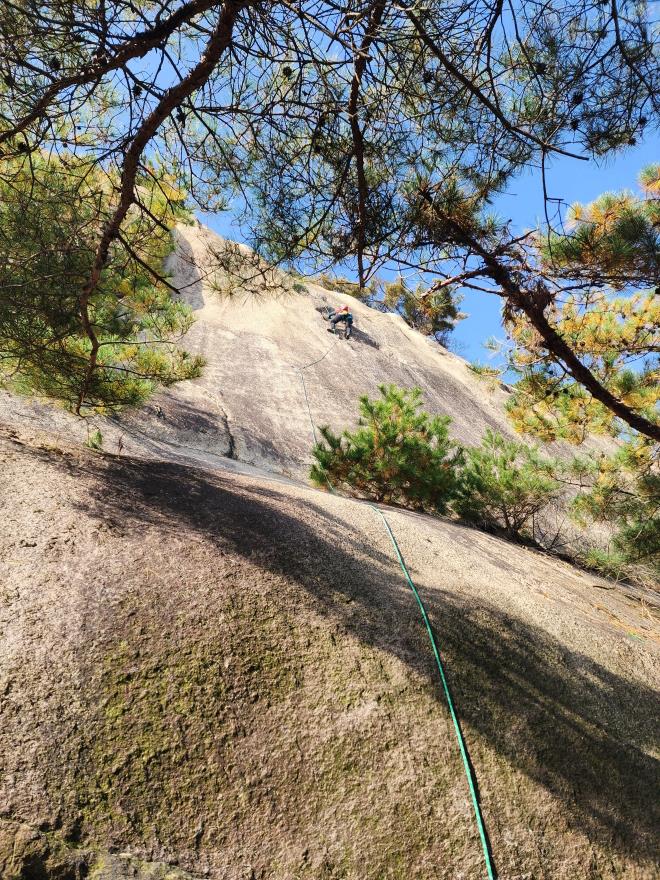 d05993b9a4256ee1a87b0a5a69550521_1762698