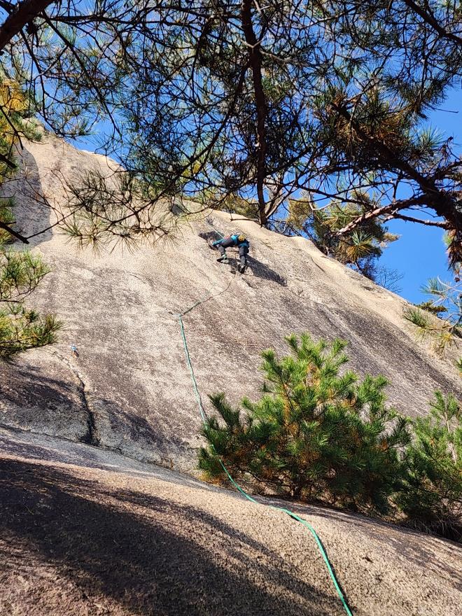 d05993b9a4256ee1a87b0a5a69550521_1762698