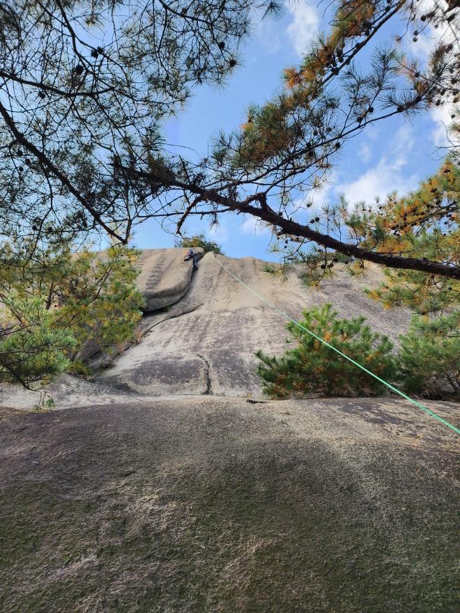 d05993b9a4256ee1a87b0a5a69550521_1762698