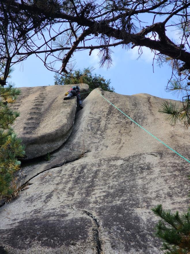 d05993b9a4256ee1a87b0a5a69550521_1762698