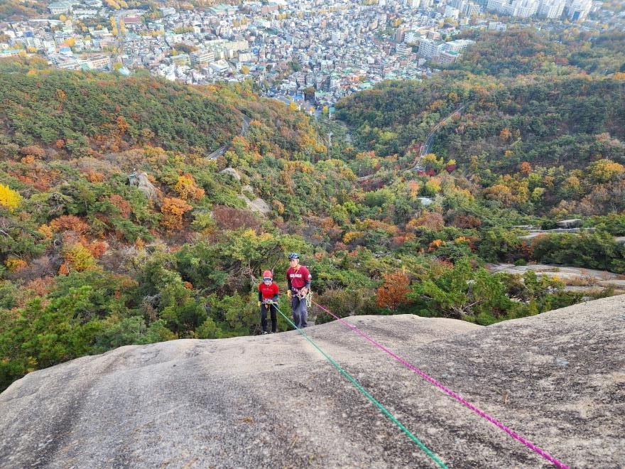 d05993b9a4256ee1a87b0a5a69550521_1762698